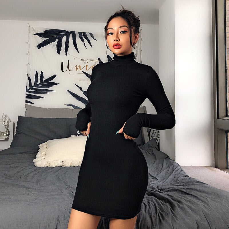 Autumn Turtleneck Mini Dress